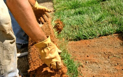 Benefits of Professional Sod Installation: Why DIY Isn’t Always Best