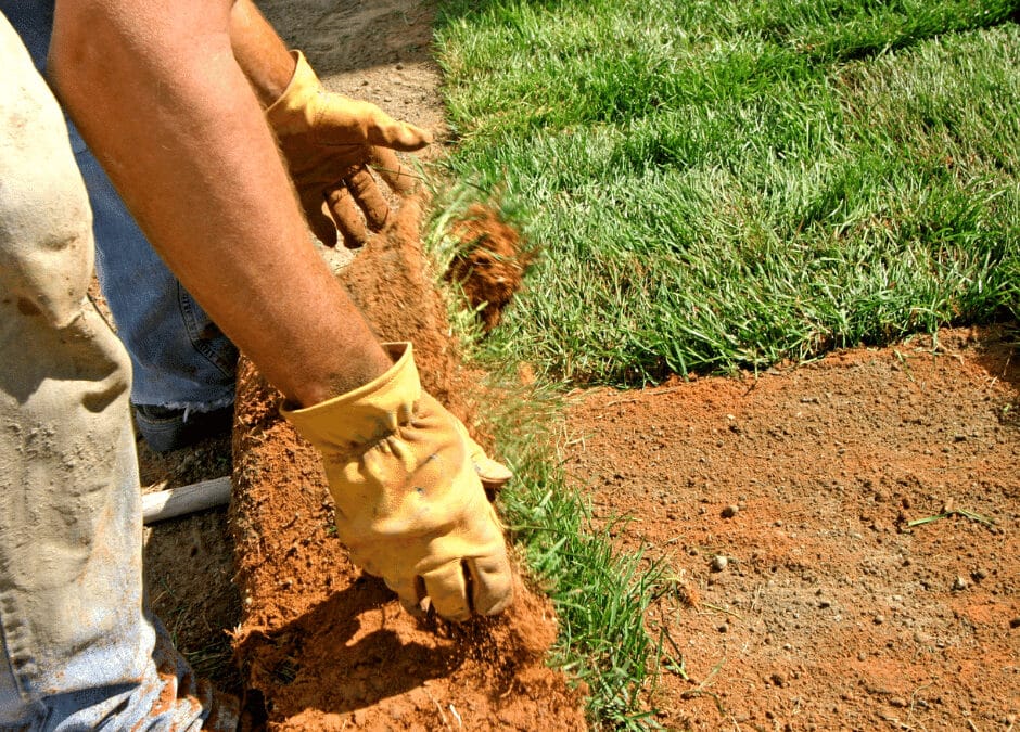 New Sod Installation Douglasville Landscape Design