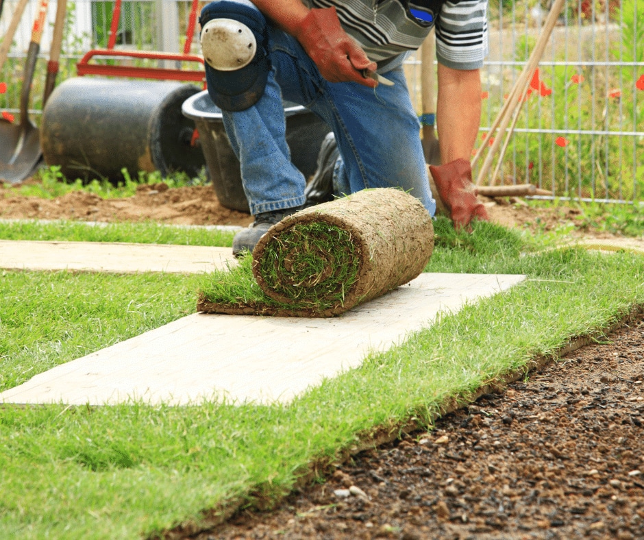 Sod Installation - service page