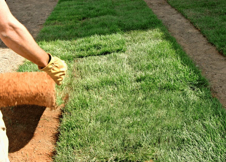 How a Professional Lays Sod, Step by Step