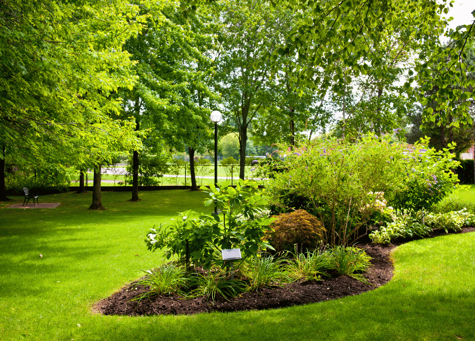 Achieving a Lush Lawn: Proper Care and Maintenance of New Sod