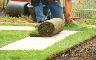 Choosing the Right Type of Sod for Your Landscape: Tips and Considerations