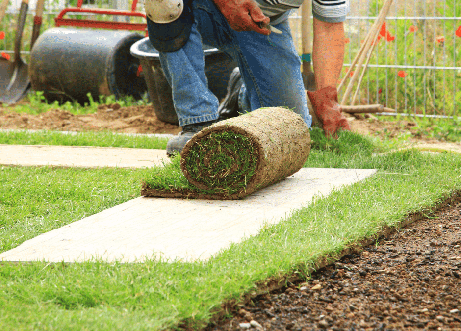 Choosing the Right Type of Sod for Your Landscape: Tips and Considerations | Douglasville Landscape Design