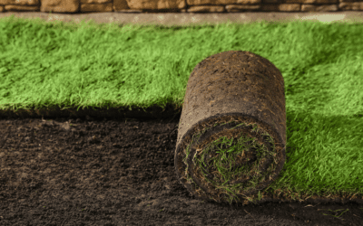 Get the Green Carpet Treatment: Hire Douglasville’s Premier Sod Installation Team Today!