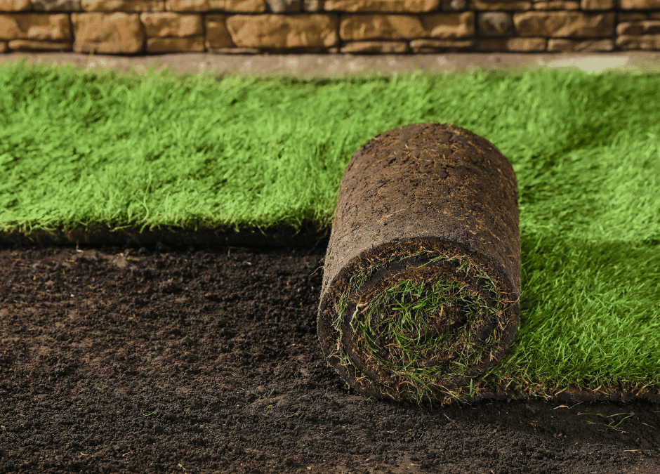 Get the Green Carpet Treatment: Hire Douglasville’s Premier Sod Installation Team Today!