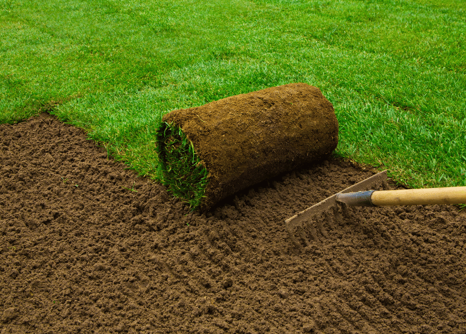 How to Care for Your New Sod: The First Weeks | Douglasville Sod Installation