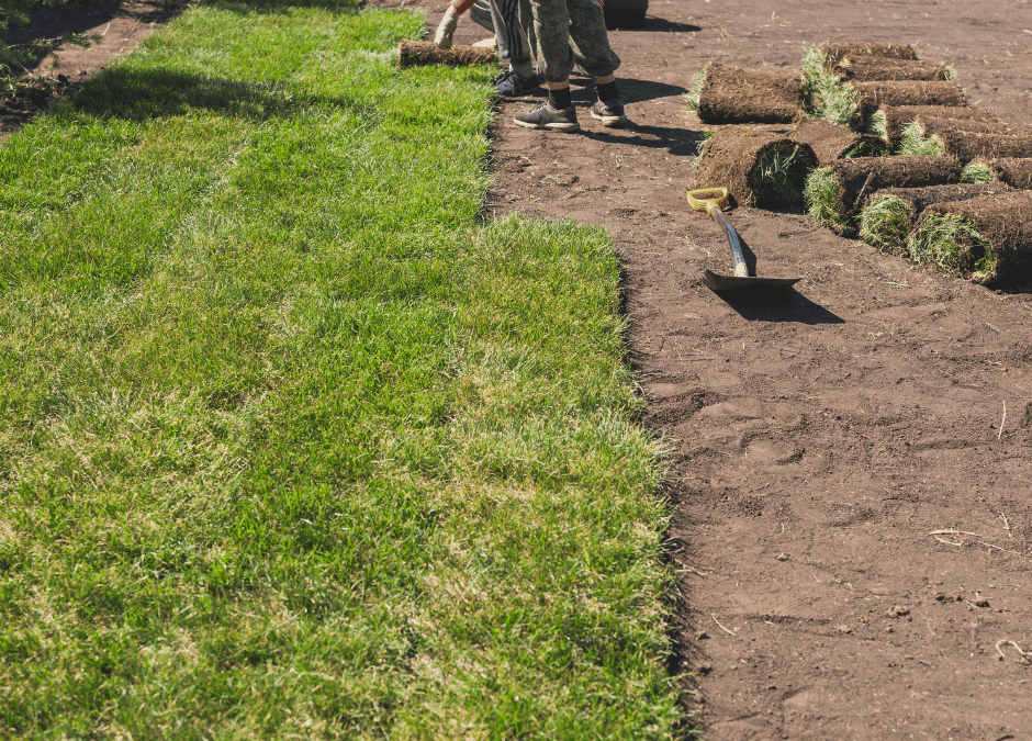 Learn the science behind sod growth and get expert tips on sod installation to ensure a lush, healthy lawn with Douglasville Sod Installation.