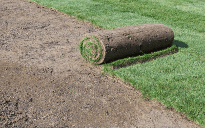 The Ultimate Guide to New Sod Installation: Step-by-Step Process