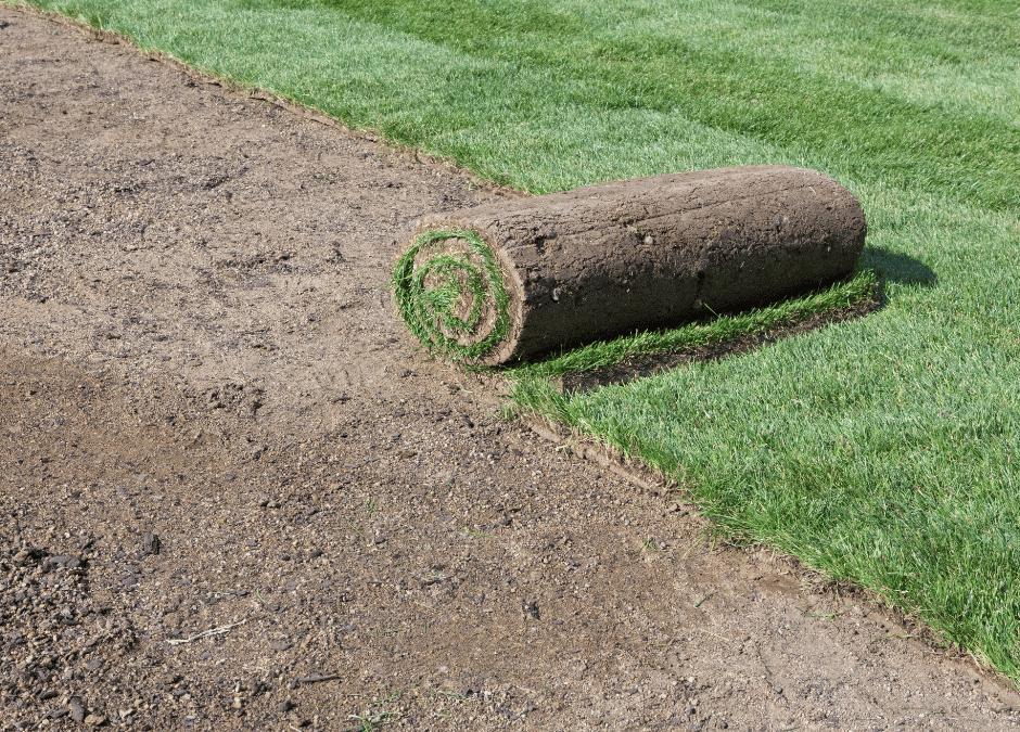 The Ultimate Guide to New Sod Installation: Step-by-Step Process | Douglasville Sod Installation