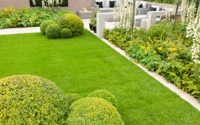 Enhancing Curb Appeal: Landscape Design Tips for the Front Yard