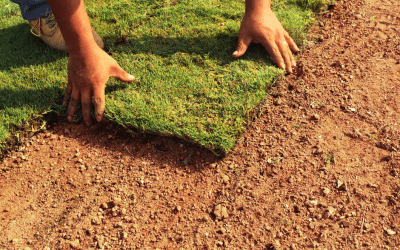 Prepping Your Yard for Sod Installation: Essential Steps for Success