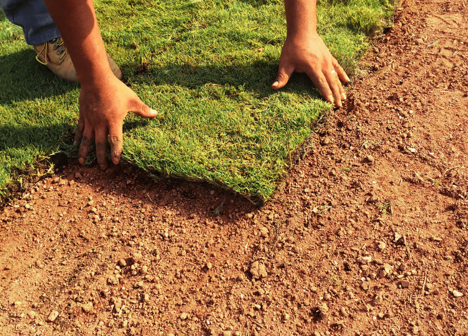 Prepping Your Yard for Sod Installation: Essential Steps for Success | Douglasville Sod Installation