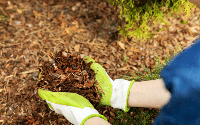 Eco-Friendly and Durable: Discover the Benefits of Rubber Mulch for Your Douglasville Landscape