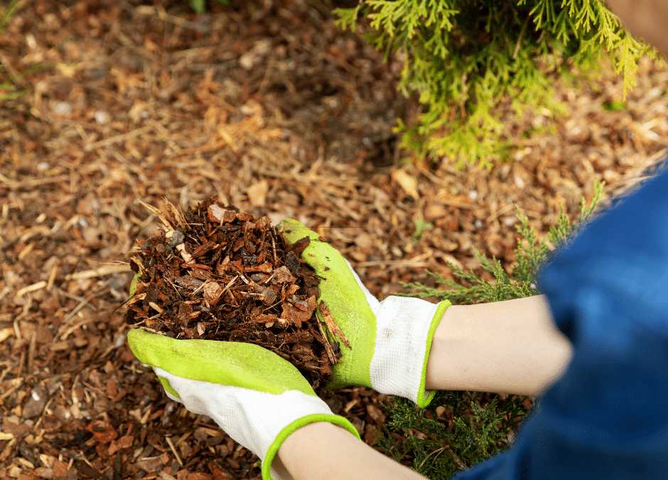 Eco-Friendly and Durable Discover the Benefits of Rubber Mulch for Your Douglasville Landscape Douglasville Land Clearing and Grading