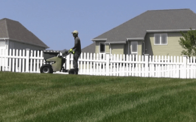 Reviving Your Lawn with New Sod: Transforming Tired Turf