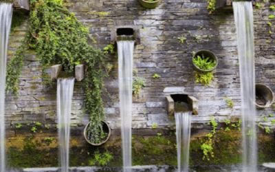 Water Features in Landscape Design: Adding Tranquility to Your Yard