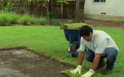 Overcoming Common Sod Installation Challenges and Solutions