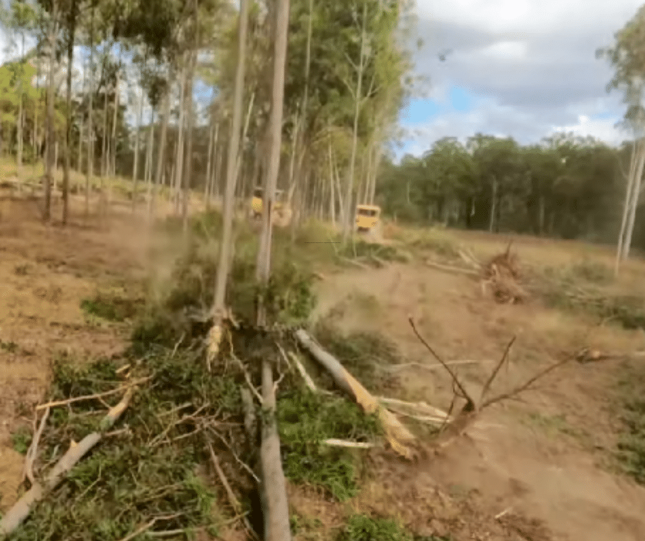 Land Clearing Services in Douglasville GA - Douglasville Land Clearing and Grading Land Clearing Services in Douglasville, GA - Douglasville Land Clearing and Grading