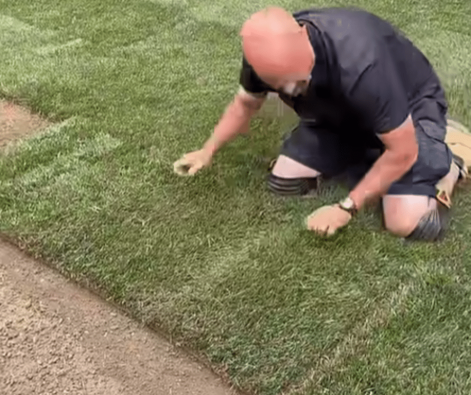 Sodding Services in Douglasville GA Douglasville Sod Installation Experts Sodding Services in Douglasville, GA | Douglasville Sod Installation Experts