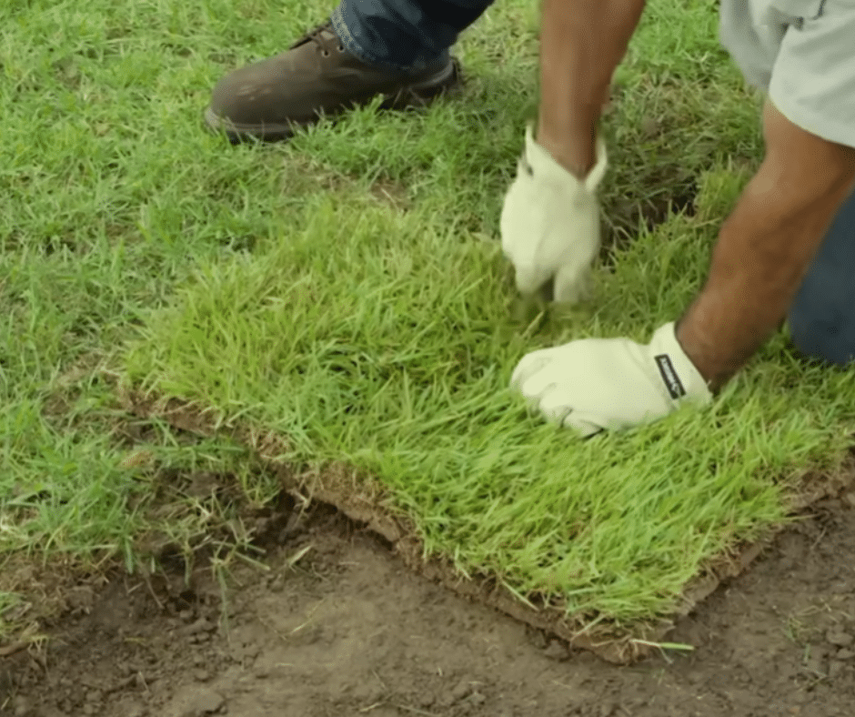 Get a Lush Green Lawn with Expert Sod Installation in Douglasville GA Douglasville Sod Installation Get a Lush, Green Lawn with Expert Sod Installation in Douglasville, GA | Douglasville Sod Installation
