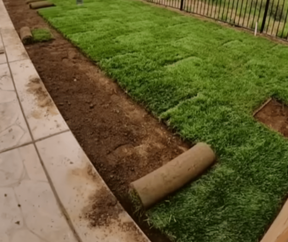 New Sod Installation in Douglasville GA Douglasville Landscape Design (1) New Sod Installation in Douglasville, GA | Douglasville Landscape Design