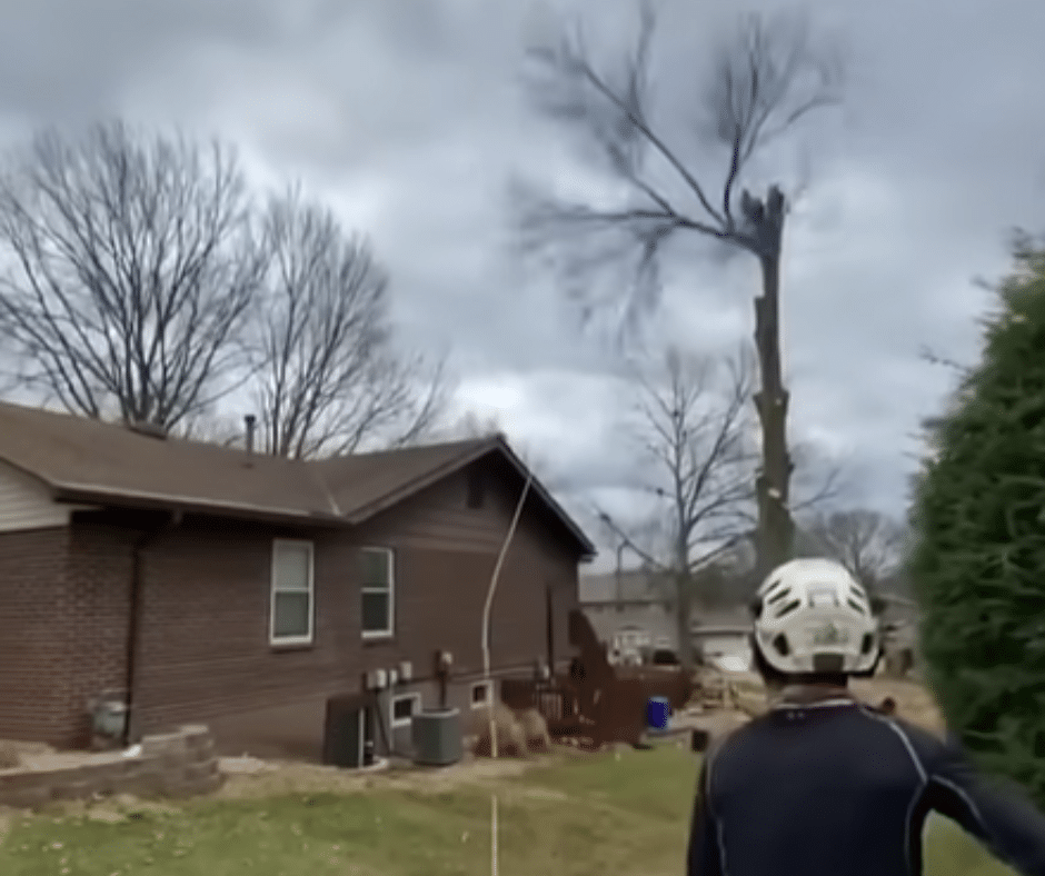 Tree Removal in Douglasville GA Douglasville Land Clearing and Grading Tree Removal in Douglasville, GA | Douglasville Land Clearing and Grading