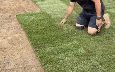 Pre-Sod Preparation in Douglasville, GA | Soil Prep for New Sod