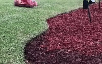 Rubber Mulch in Douglasville: A Smart, Low-Maintenance Landscaping Solution for Your Property