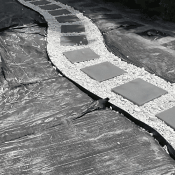 The Art of Hardscaping: Beautiful Gravel Pathways in Douglasville, GA